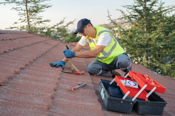 Best Roof Maintenance Services  in Huntertown, IN